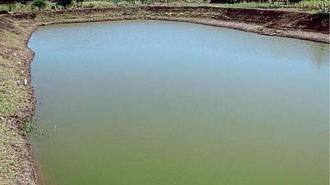 Fish Pond