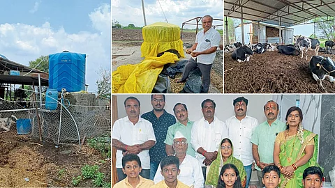 Dairy Farming