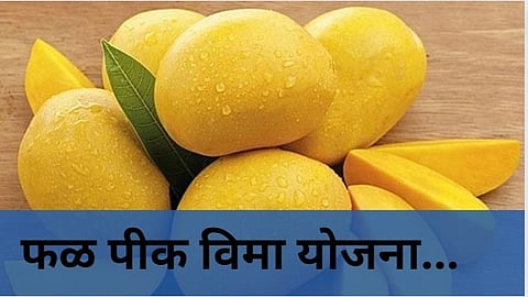 Crop Insurance Scheme