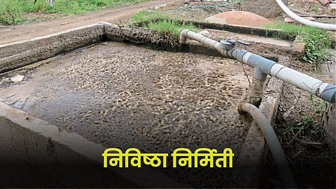 Agriculture Input production