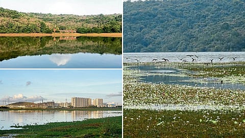 Aquatic Ecosystem