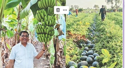 Soil Fertility