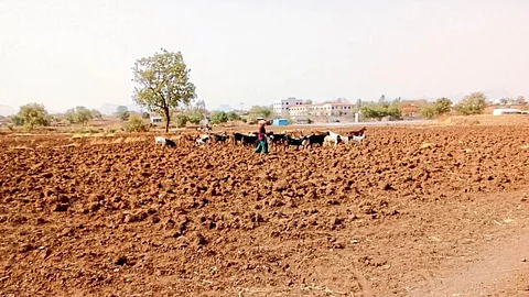 Water Scarcity