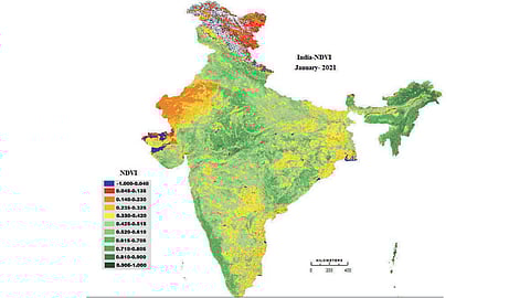Vegetation cover index values