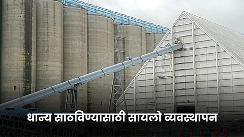 Silo Management