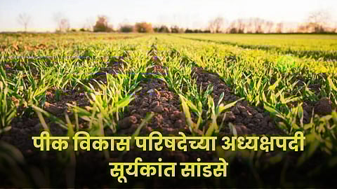 Crop Development Council