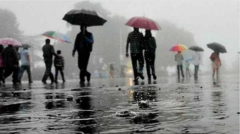 Rain Forecast