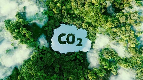 Carbon Emission