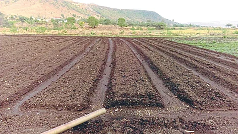 Regenerative Farming
