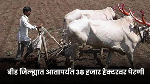 Agriculture Sowing