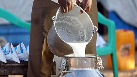 Milk
