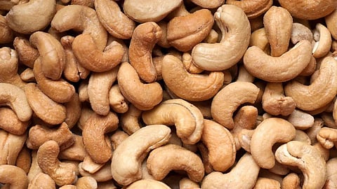Cashew