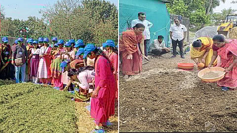 Activity of Animal Husbandry