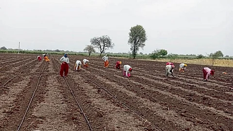 Kharif Season