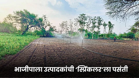 Agriculture