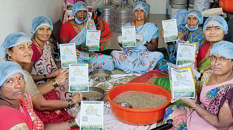 Food Processing Industry