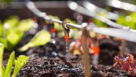 Micro Irrigation