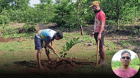 Kaju Farming