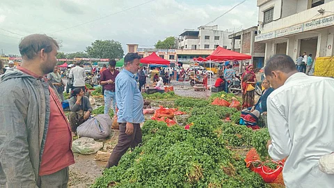Vegetable Market