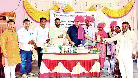 Pomegranate Research Center