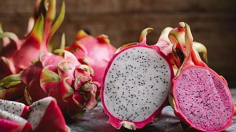 Dragon Frui