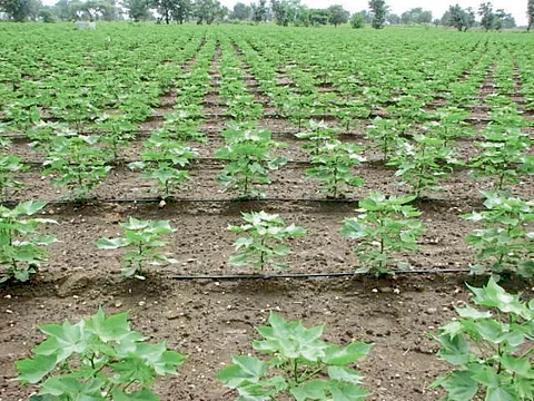 Fertigation Technology