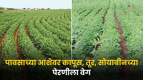 Agriculture Sowing