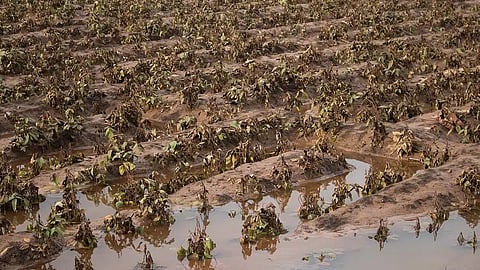 Agriculture Damage Flood