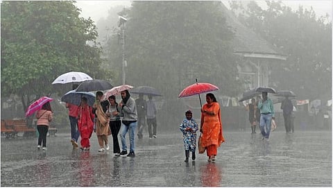 Monsoon Rain