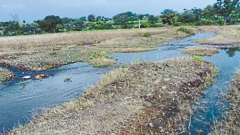 Soil Health