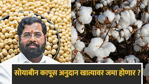 Soybean Cotton Anudan