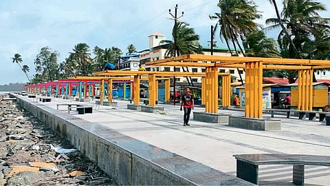 Beach Beautification