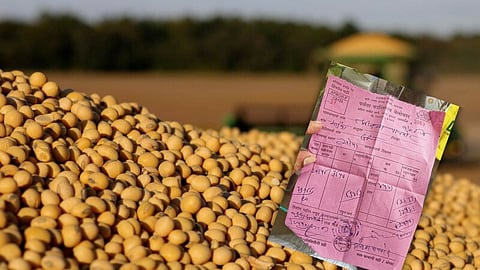Soybean Rate