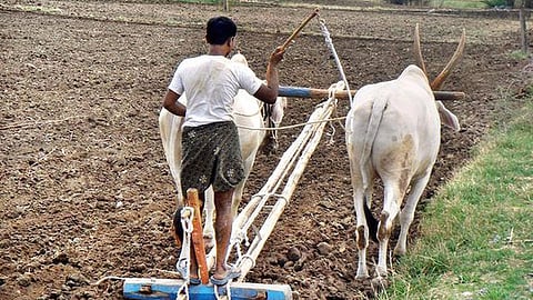 PM Crop Insurance
