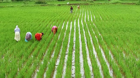 Kolhapur Weather Update