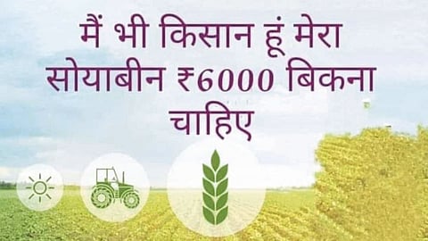 Soybean