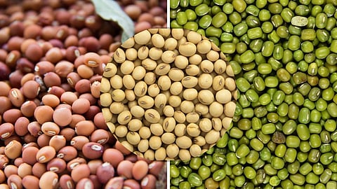 Tur, Moong, Soybean