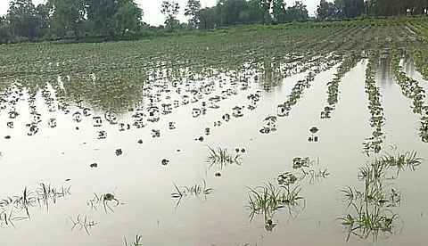 Kolhapur Rain
