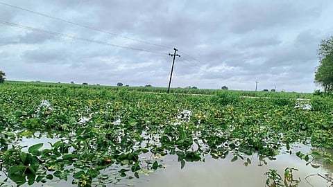Heavy Rain