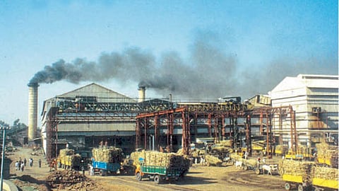 Sugar Factory