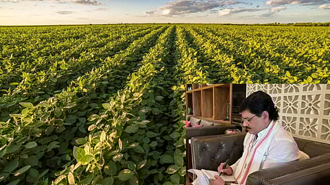 Soybean Rate