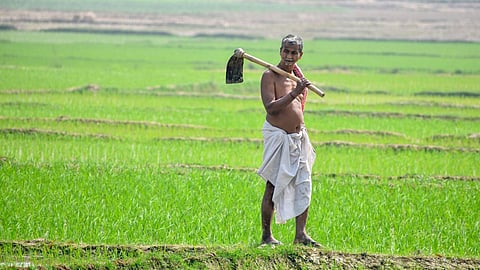 Aadhaar Style IDs Farmers