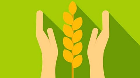 Crop Insurance Compensation