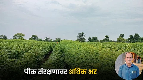 Agriculture Protection