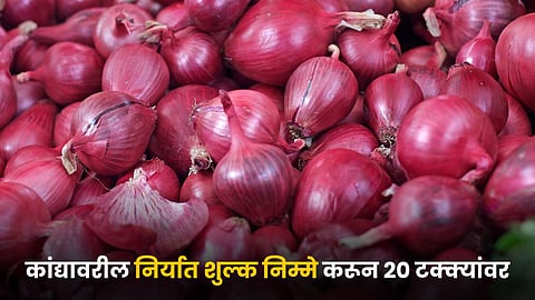Onion