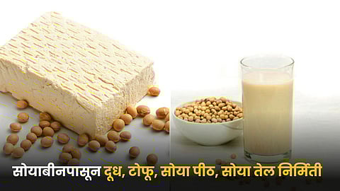 Soybean Foods