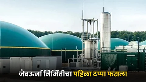 Bioenergy Project