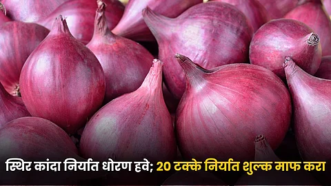 Onion