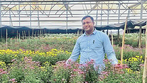 Floriculture