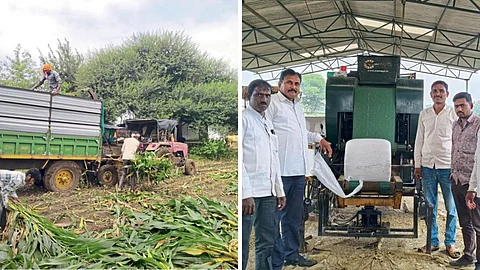 Silage Production